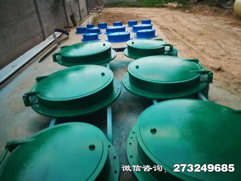 广安玻璃钢管道拍门