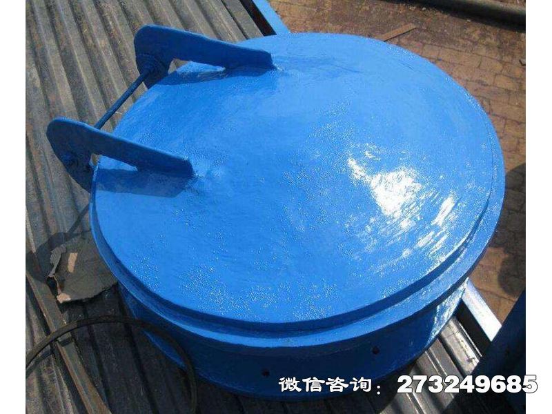 甘井子复合材料防倒灌拍门