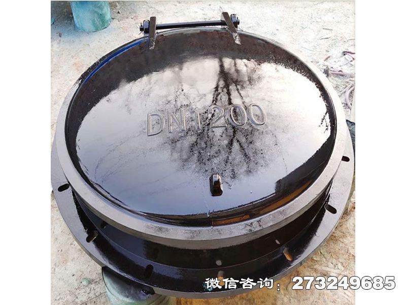 陆良县防倒灌玻璃钢拍门