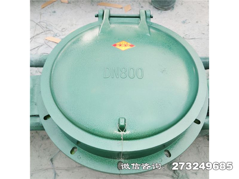 宝安玻璃钢自动启闭拍门