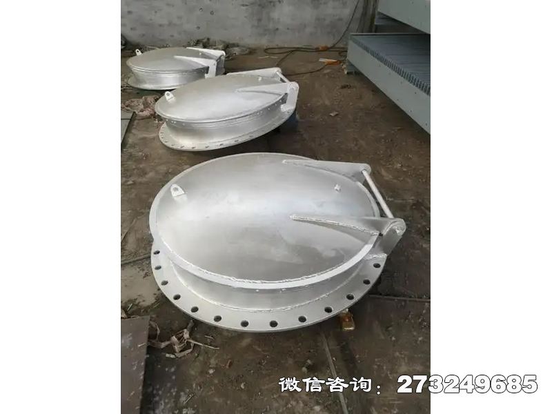 龙港防止洪水倒灌不锈钢拍门