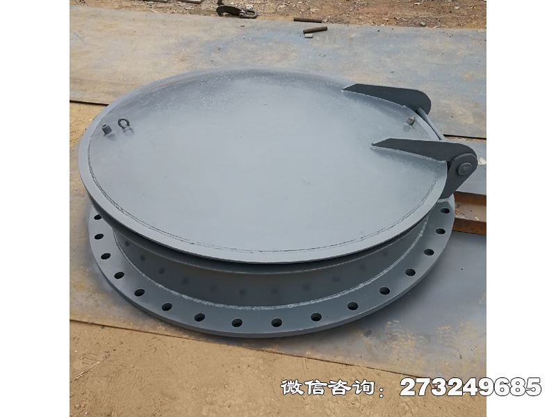 龙港泵站防逆流不锈钢拍门