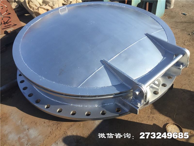 贵溪不锈钢止回拍门
