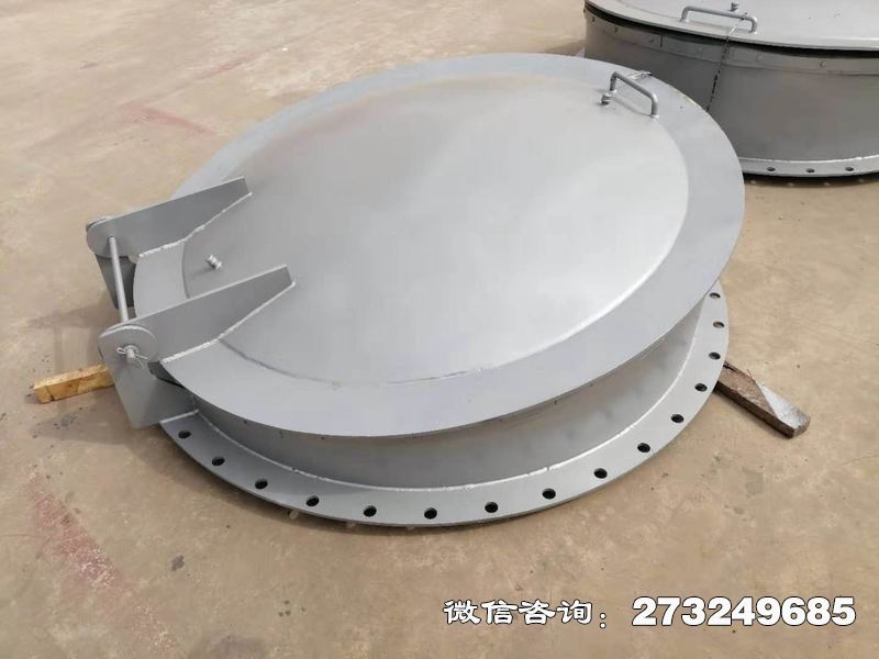 贵溪不锈钢逆止拍门