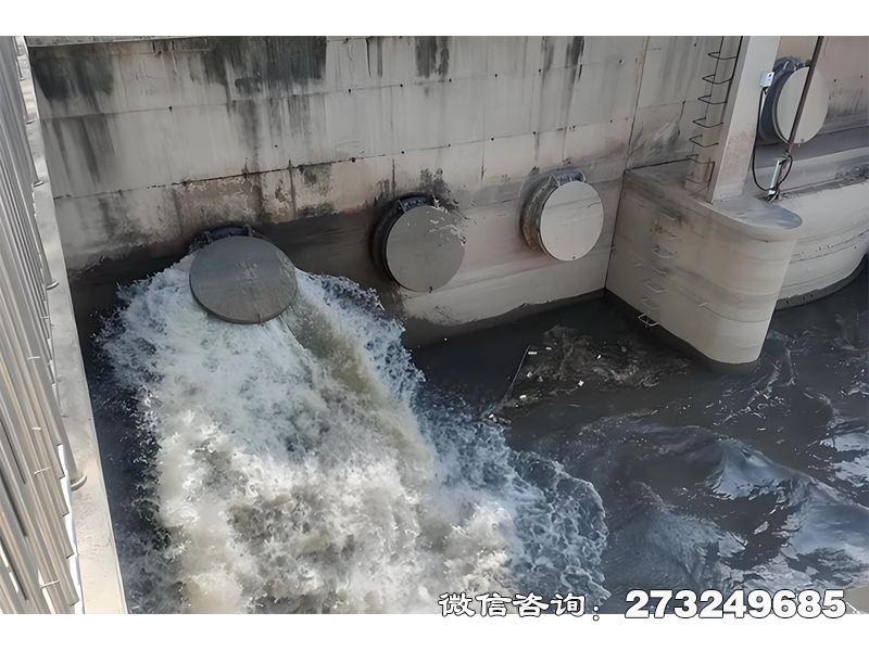 蛟河隧道排水口潮门拍门
