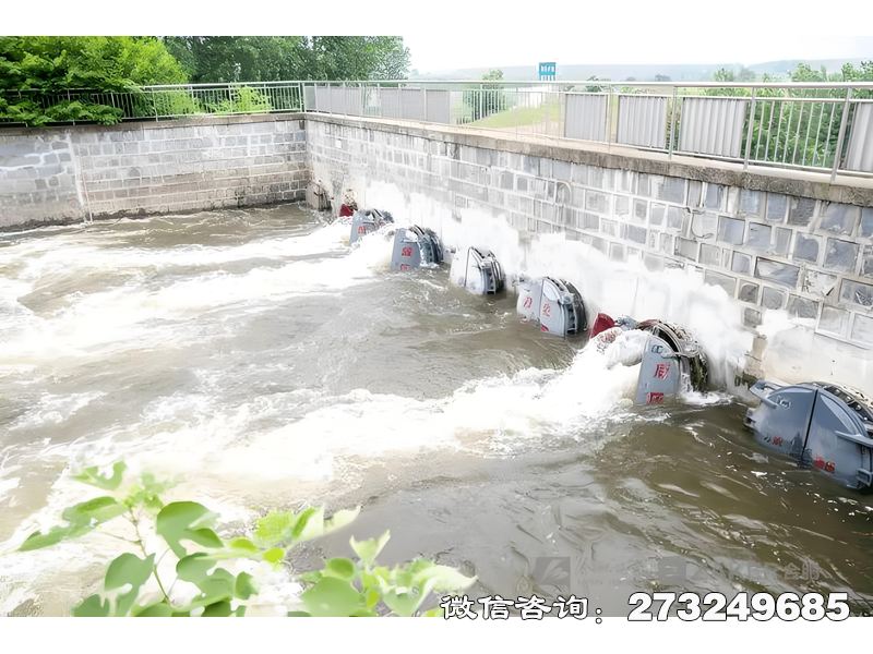 甘井子河道防洪堤排水潮门拍门