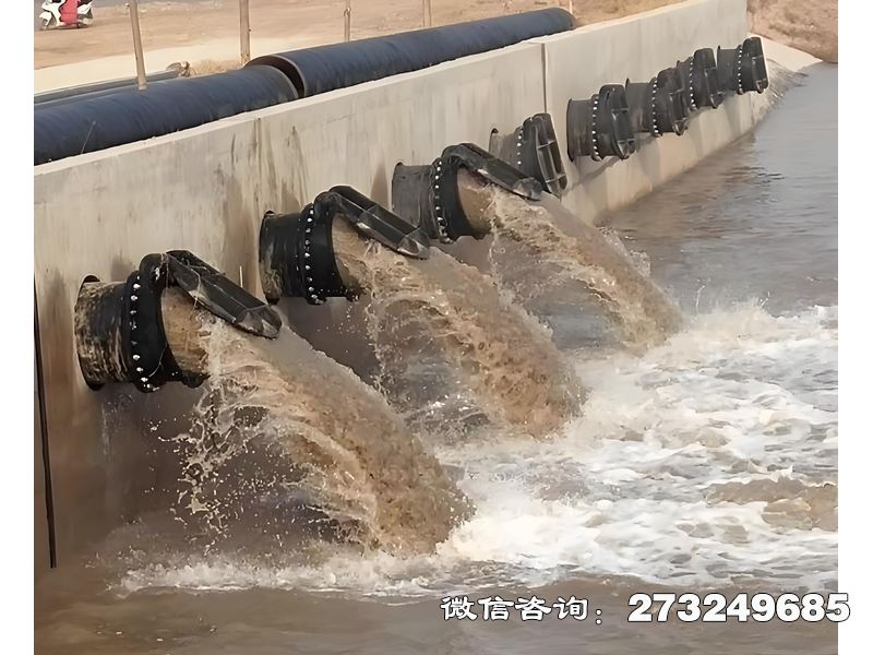 甘井子蓄滞洪区分洪闸潮门拍门