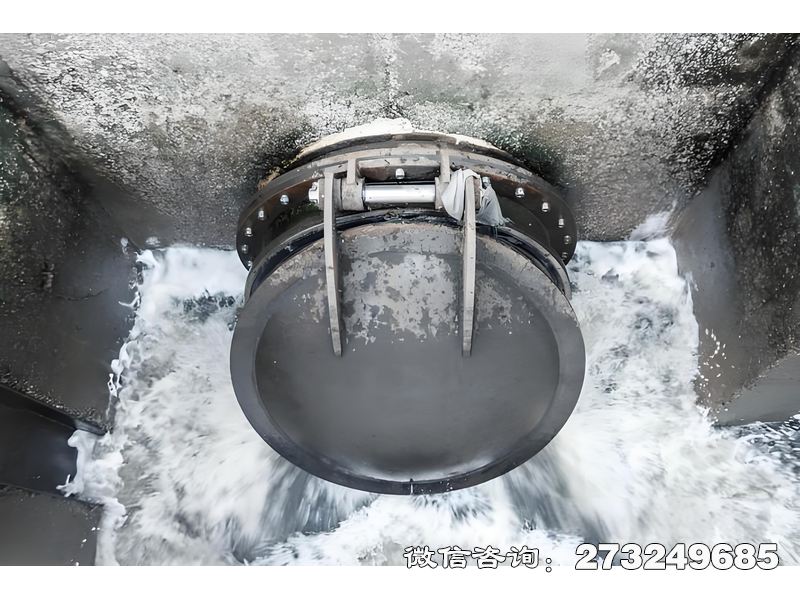 甘井子河道排水潮门拍门
