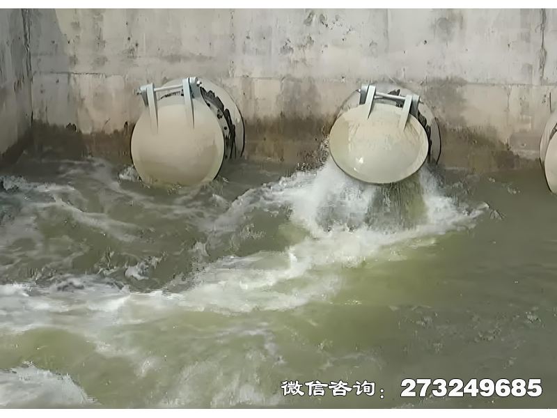 甘井子河道生态护岸排水潮门拍门