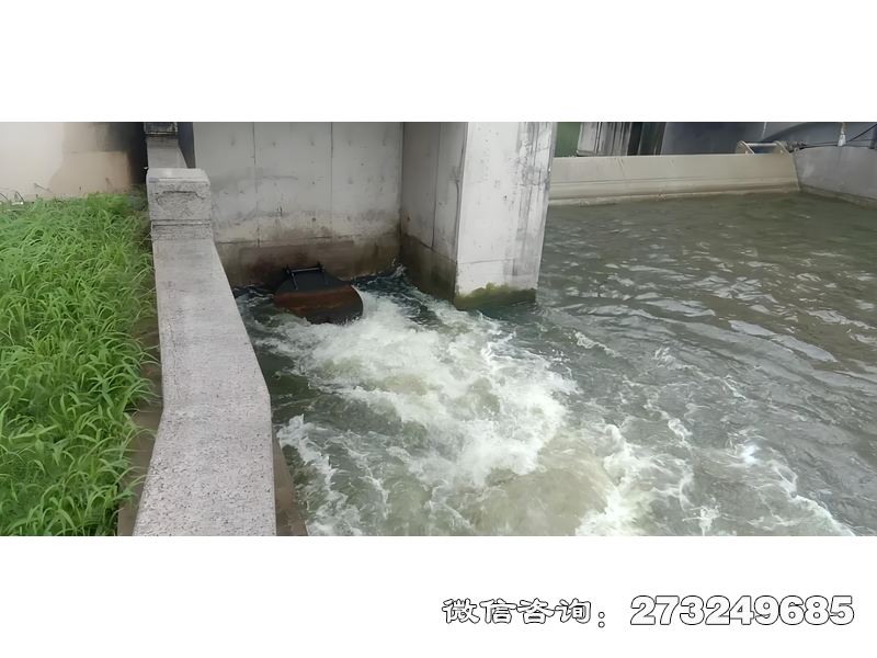 甘井子海塘防潮闸潮门拍门