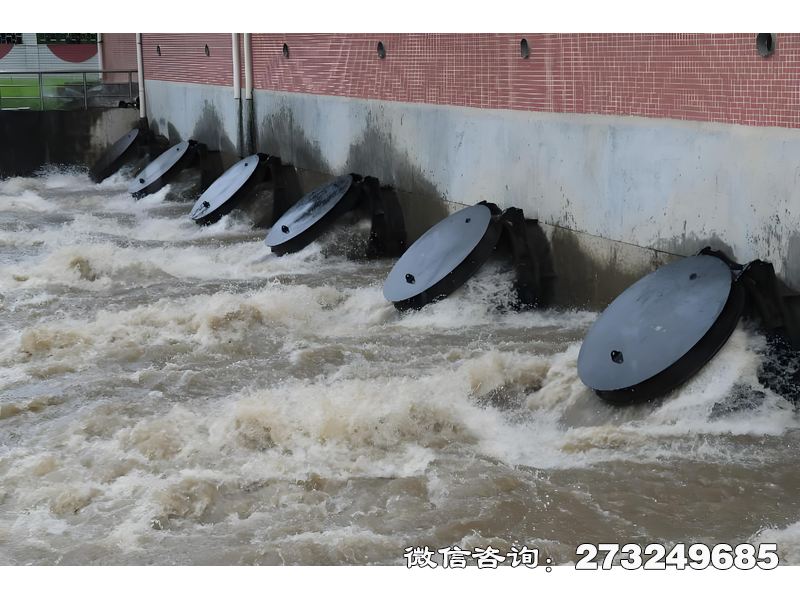 宝安灌溉渠首水闸潮门拍门