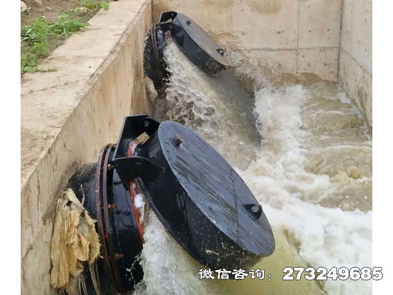 攀枝花海水防倒灌拍门