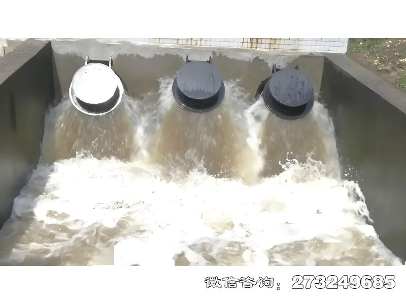 攀枝花河口防潮拍门