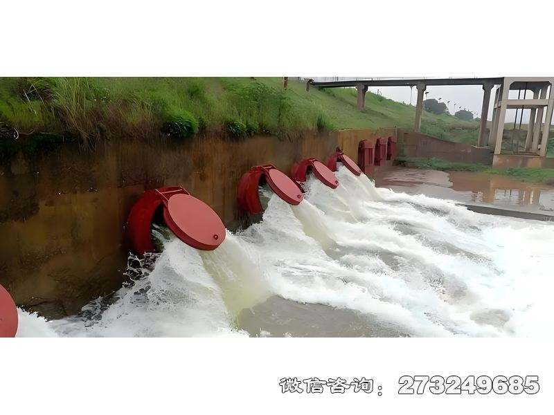 攀枝花涵管排水拍门