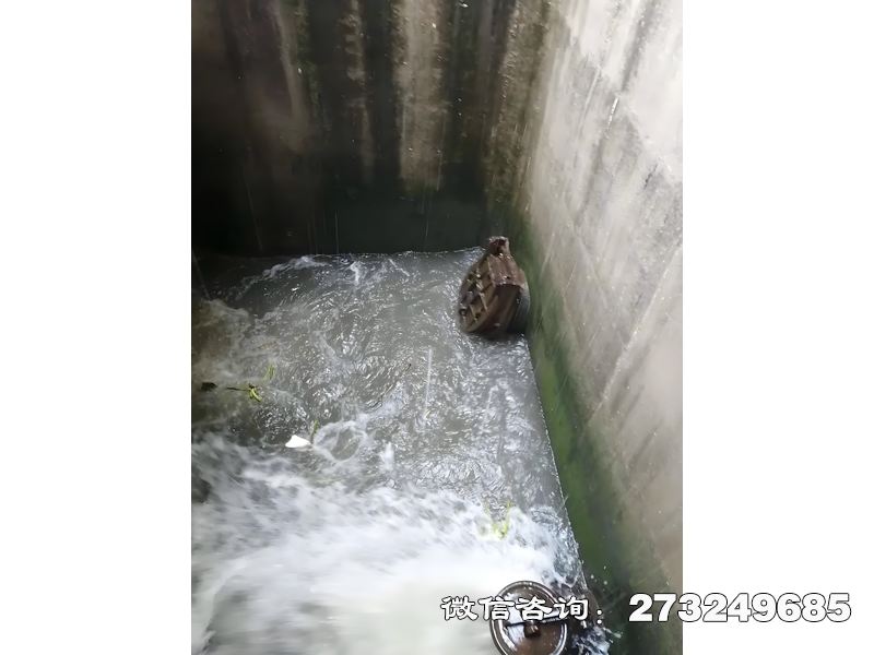 渠道涵管拍门专为农田灌溉渠道、生态补水工程设计，钢制材质耐长期浸泡，安装于涵管末端控制水流方向。灌溉公司、农业合作社常用，通过自动启闭减少水头损失，支持手动调节开度。产品防渗漏设计保障灌溉效率，适配中小管径需求，符合相关认证。渠道涵管拍门价格电话微信联系厂家。