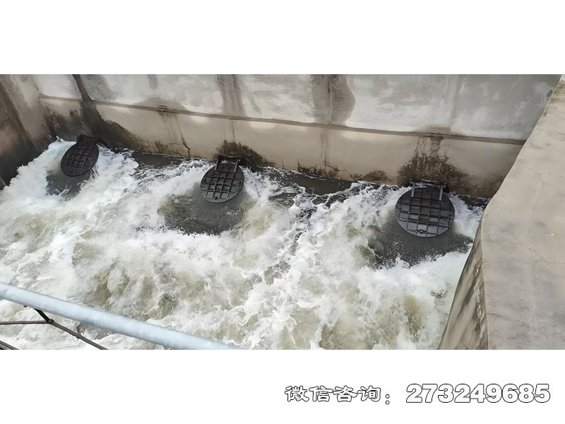 海水养殖排水拍门用于海水养殖场排水系统，采用316L不锈钢材质耐氯离子腐蚀，通过自动启闭控制潮水涨落。海洋渔业公司、水产养殖基地常用，防生物附着设计减少藻类淤积，保障水质安全。产品适配DN200-DN1500管道，符合海洋工程标准。海水养殖排水拍门价格电话微信联系厂家。