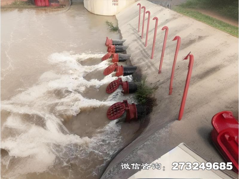 攀枝花海水生态防潮拍门
