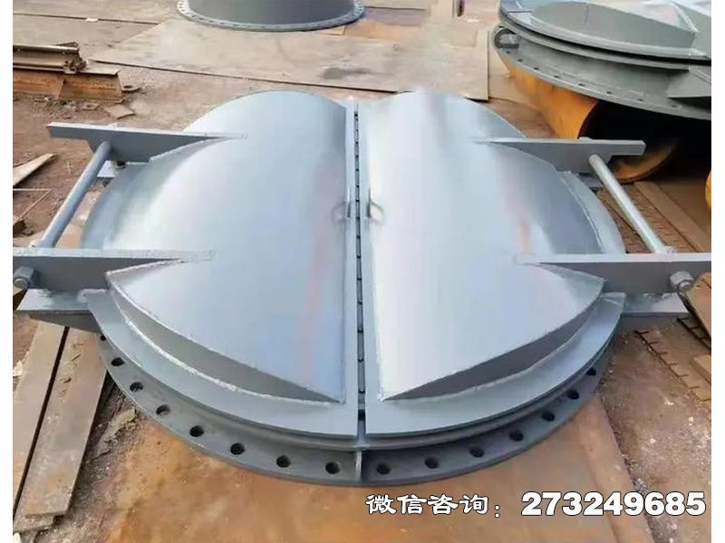 孝感防潮钢制海堤拍门