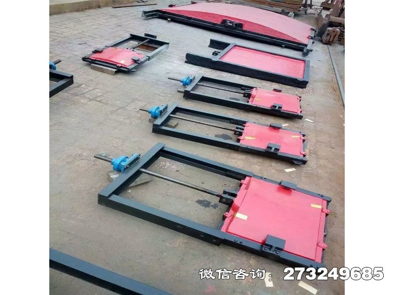 攀枝花蓄滞洪区应急分洪门机闸一体门