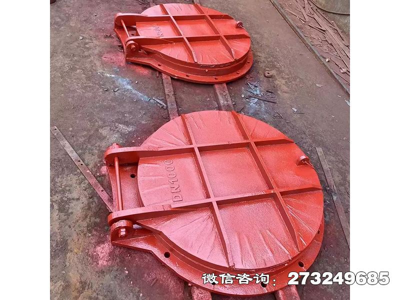 祁门县泵站铸铁圆形止水门
